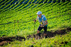 BIB: 
                            <button type="button" onclick="openModal(19160338)" class="btn btn-primary btn-sm float-right btn-popup" data-toggle="modal" data-target=".modal-high-quality">
                        <i class="fas fa-shopping-cart"></i> Add to Cart
                    </button>
                                            <button type="button" onclick="isThisMe(19160338, true)" class="btn btn-success btn-sm float-right btn-popup btn-isme hidden" data-toggle="tooltip" data-placement="bottom" title="นี่คือรูปของคุณใช่ไหม คลิกที่นี่เพื่อเอาเข้าอัลบั้ม">
                        <i class="fas fa-plus"></i> Add to album
                    </button>
                    <button type="button" onclick="isThisMe(19160338, false)" class="btn btn-warning btn-sm float-right btn-popup btn-isnotme hidden">
                        <i class="fas fa-ban"></i> Remove from album
                    </button>